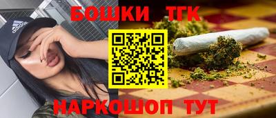 гидропоника Сланцы