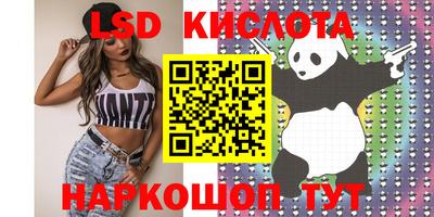 гидропоника Сланцы