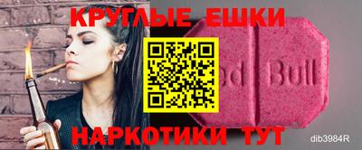 гидропоника Сланцы