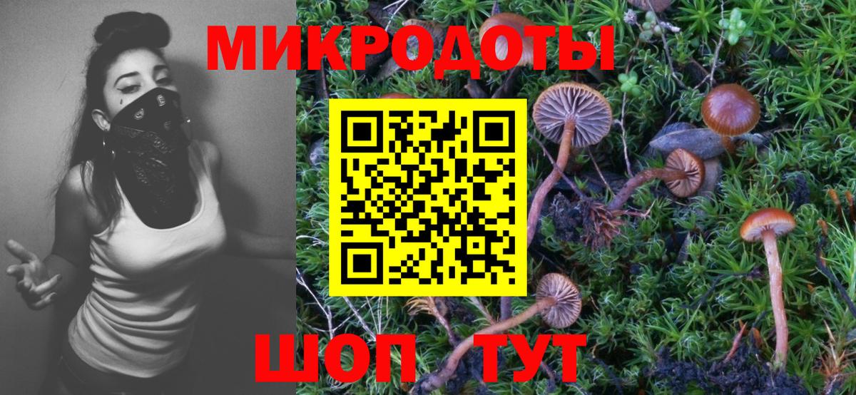 как найти закладки  Галлюциногенные грибы GOLDEN TEACHER  Вход с VPN  Нижний Новгород 