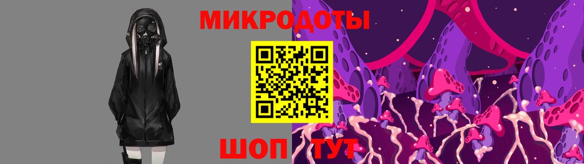 Галлюциногенные грибы Psilocybe Нижний Новгород